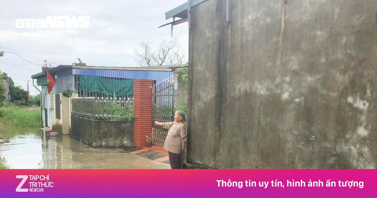 znews.vn