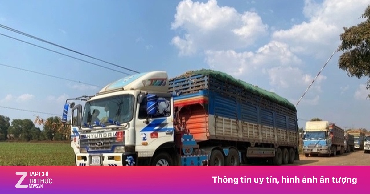 Hỏa tốc đề nghị gỡ vướng kiểm dịch thực phẩm nhập khẩu