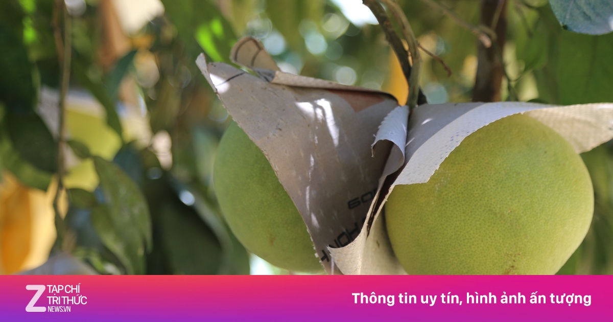 Gần 100 tấn rau quả Việt Nam bay sang UAE bằng đường hàng không lần đầu tiên