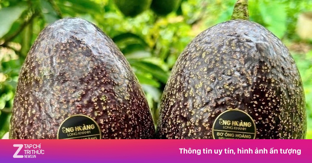 Bơ 160.000 đồng/kg 'cháy hàng', khách muốn mua phải đặt trước cả tháng