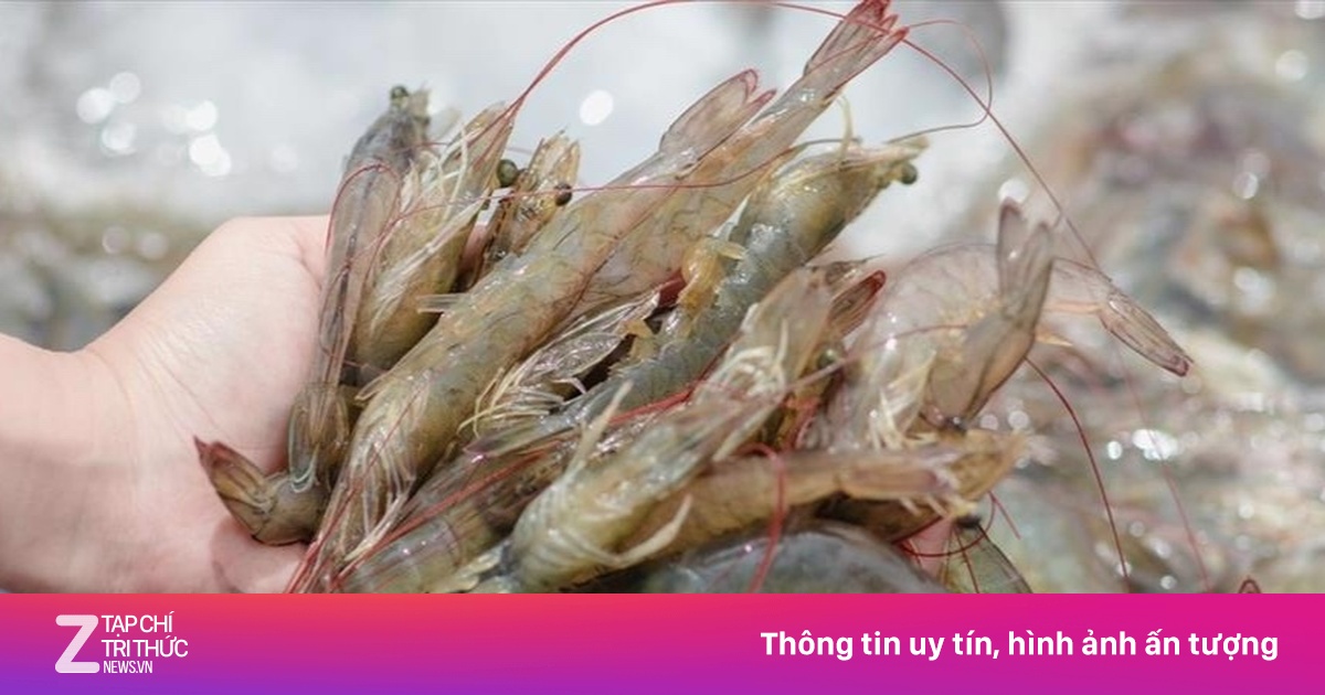 Ông lớn' ngành tôm Việt Nam lao đao vì thuế chống bán phá giá của Mỹ