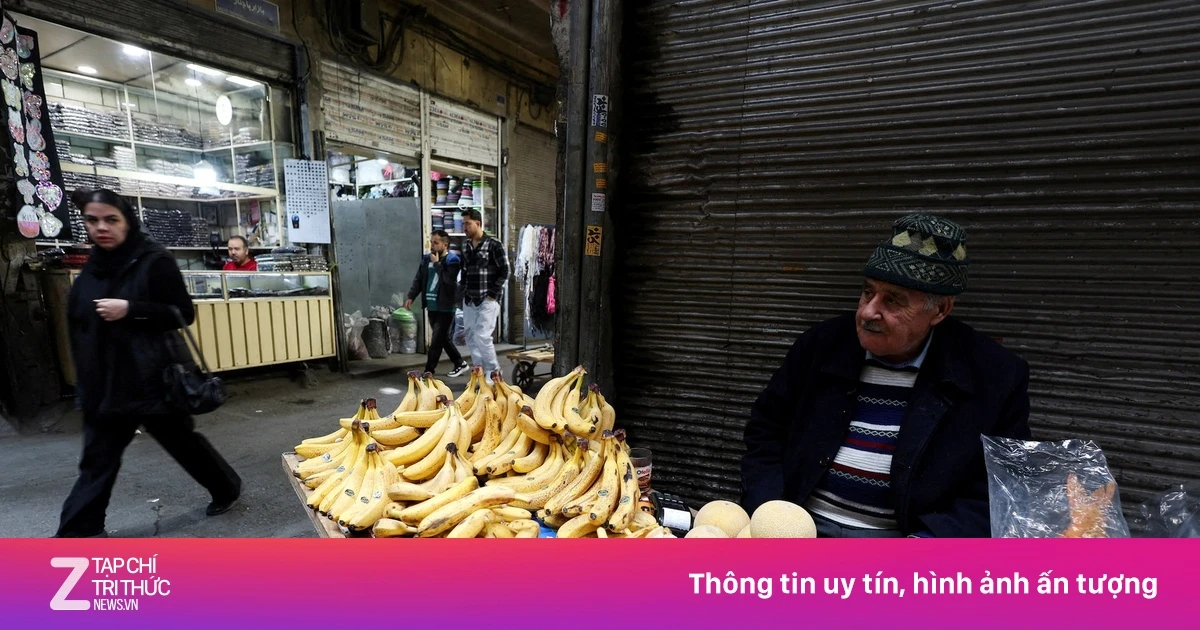 znews.vn