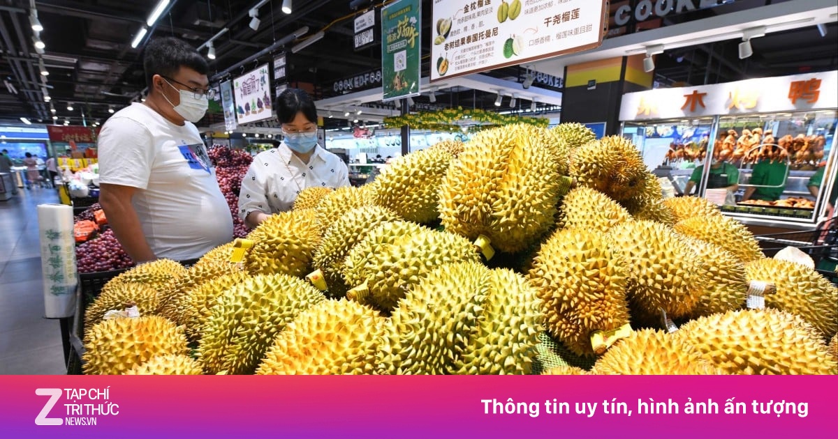 'Bài toán' lớn nhất với sầu riêng Việt Nam tại Trung Quốc