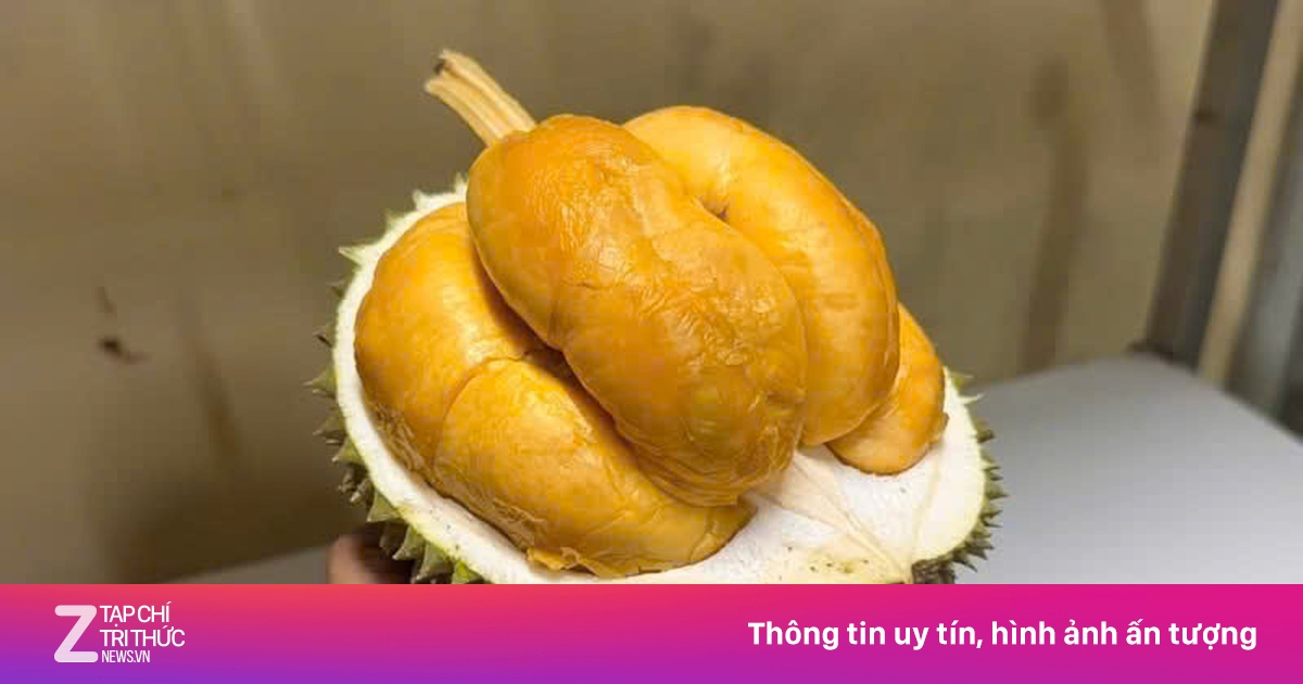 Một loại sầu riêng giá đắt gấp 6 lần Ri6, cao hơn 4 lần Monthong