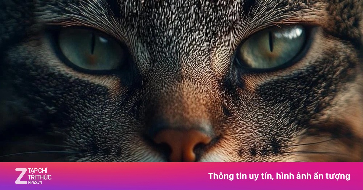 Dùng AI thiết kế bìa, sách của 2 nhà văn hàng đầu New Zealand bị loại