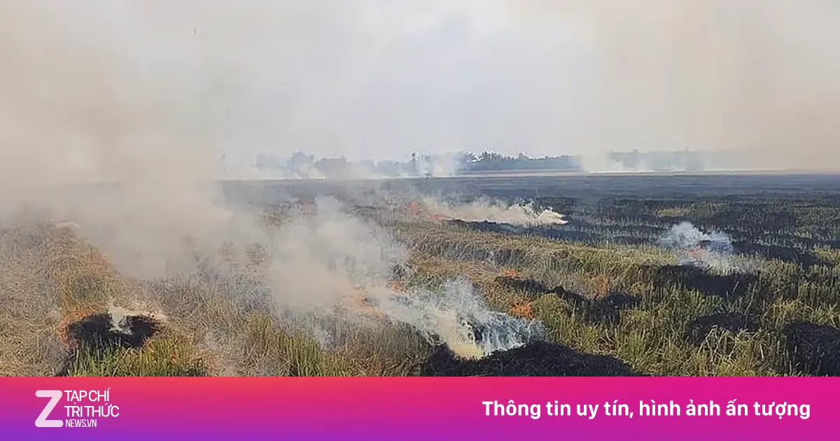 Thảm kịch đốt rơm rạ: Người phụ nữ Cần Thơ tử vong do ngạt khói giữa đồng