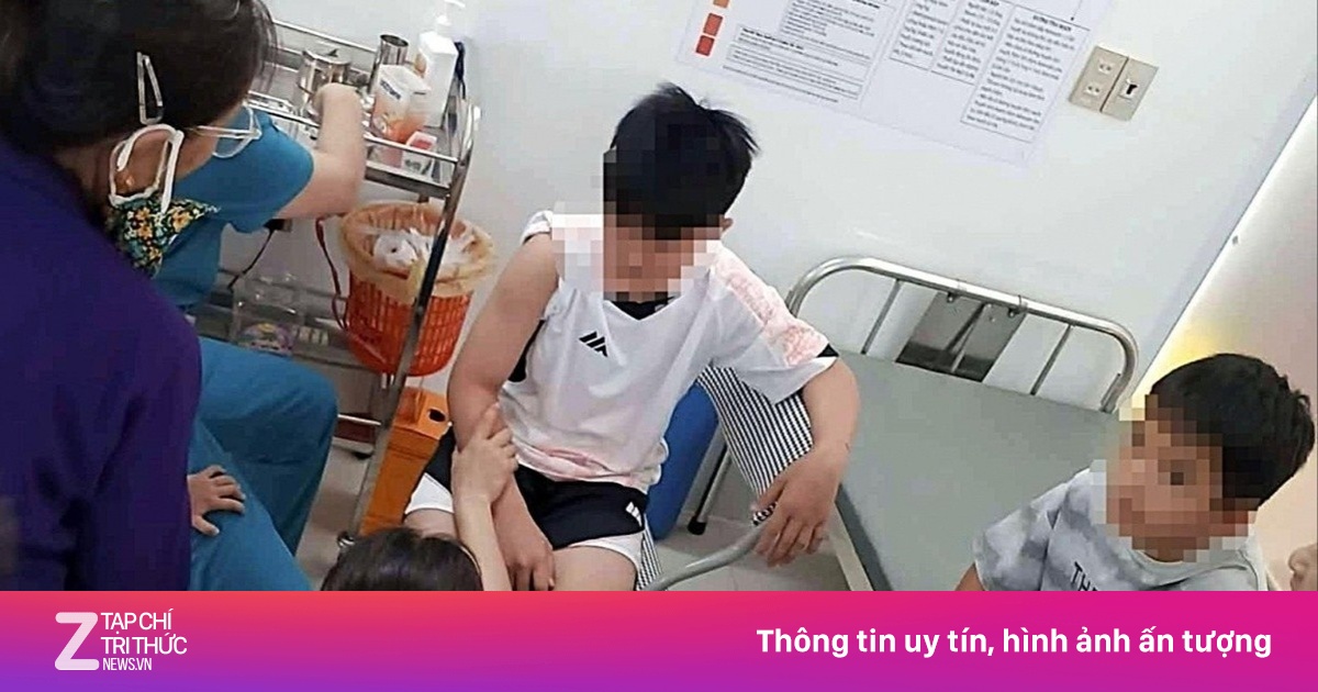 Chó thả rông nghi dại tấn công 6 người dân ở Nghệ An