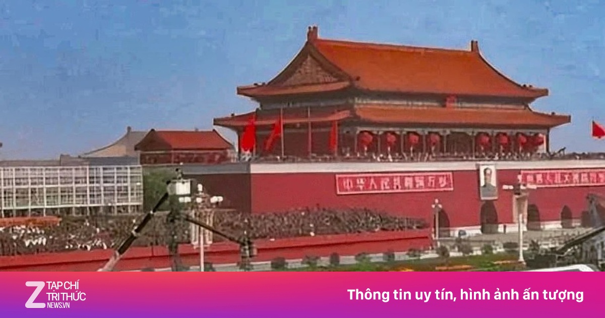 znews.vn