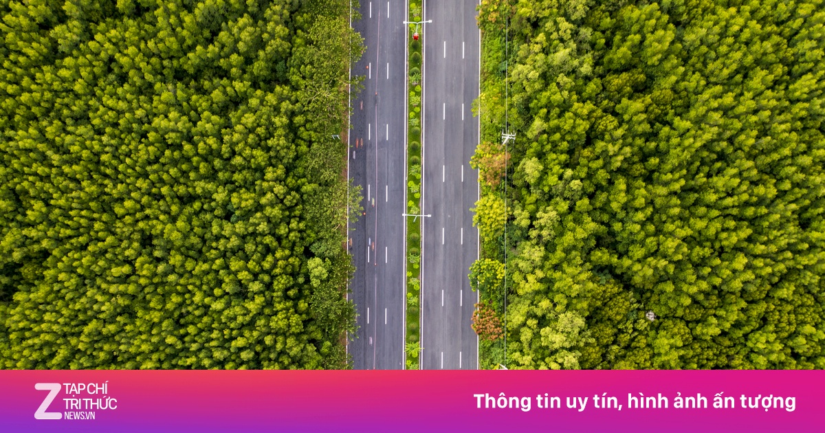 Vingroup có thể khởi công metro Phú Mỹ Hưng - Cần Giờ đầu năm sau