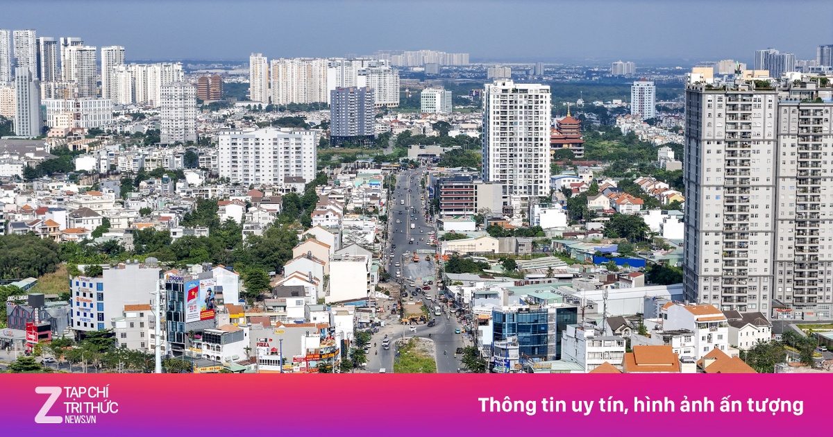 znews.vn