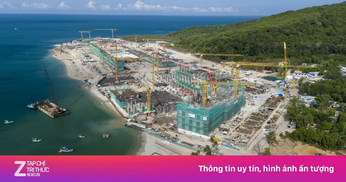 znews.vn