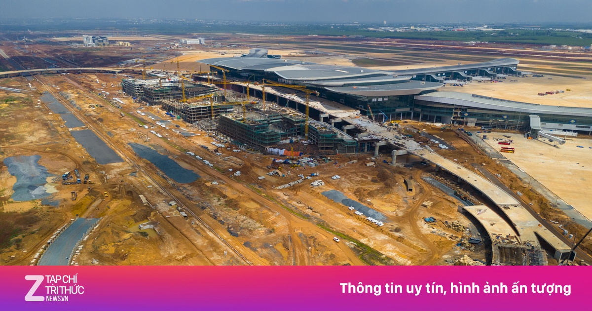 znews.vn