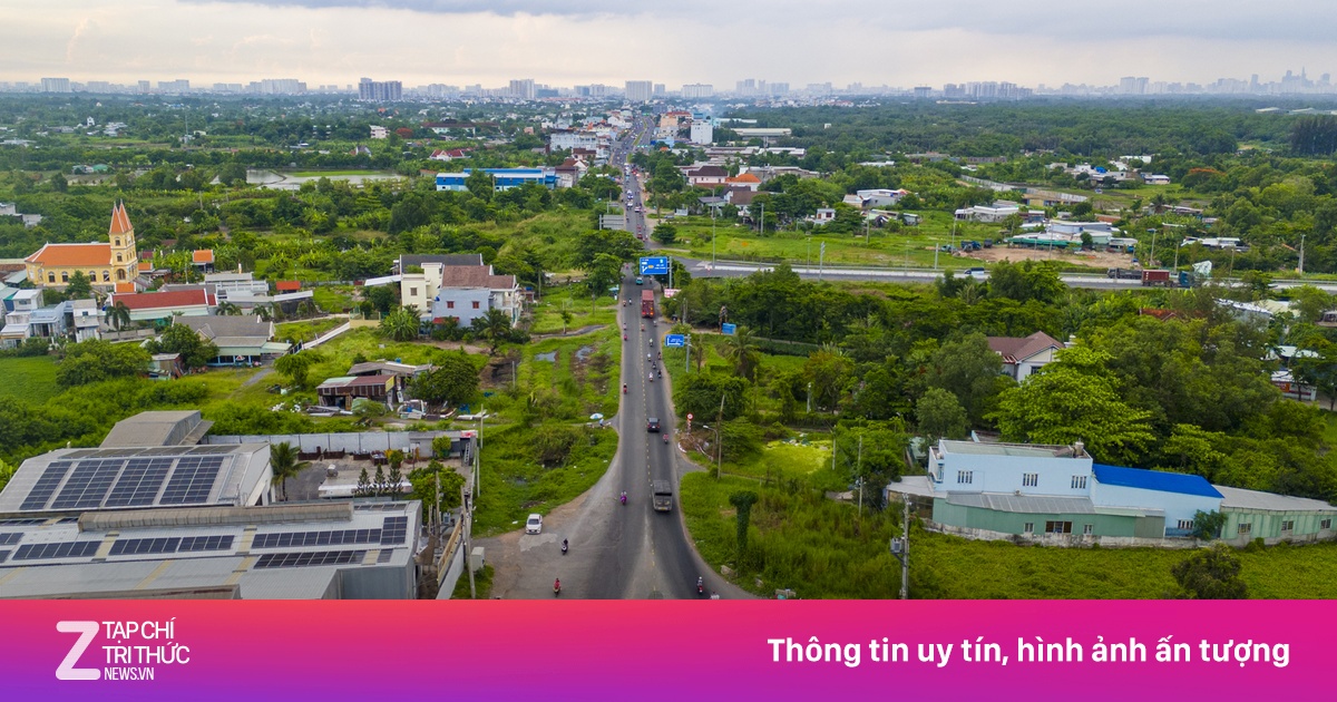 znews.vn