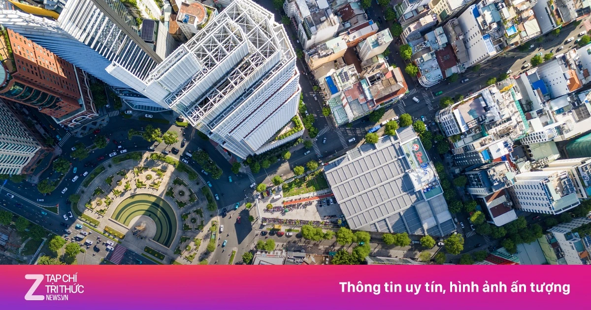 znews.vn