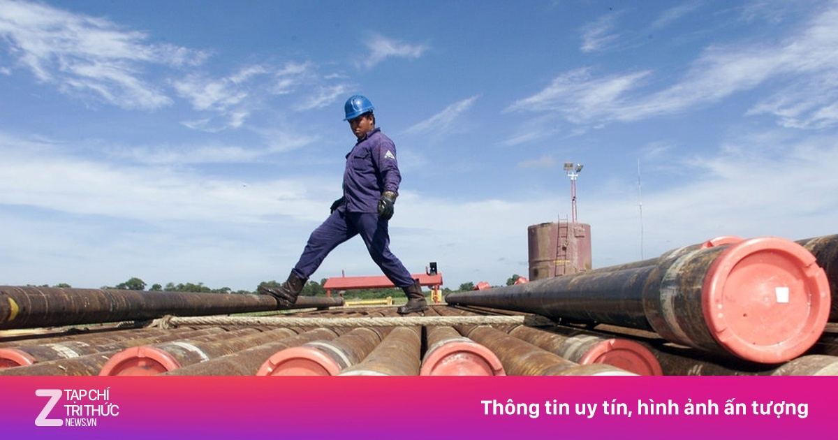 zingnews.vn