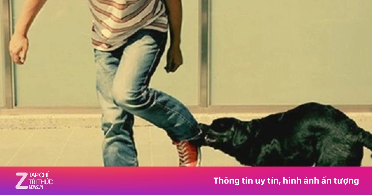 Một người không qua khỏi do chó cắn ở Đồng Nai