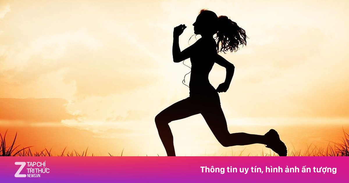 Công cụ làm chậm sự già yếu