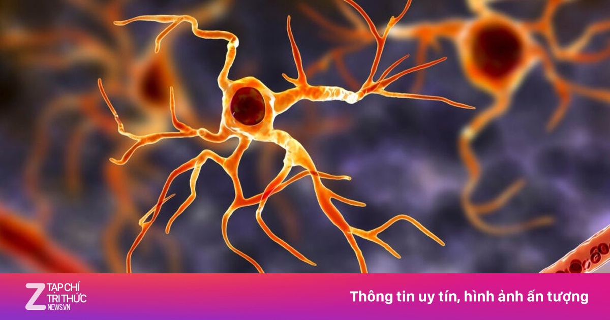 Hàng tỷ biến đổi mỗi giây của tế bào