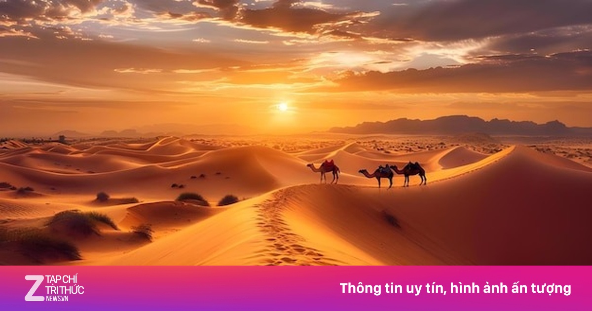 Hành trình tỷ năm của một hạt cát