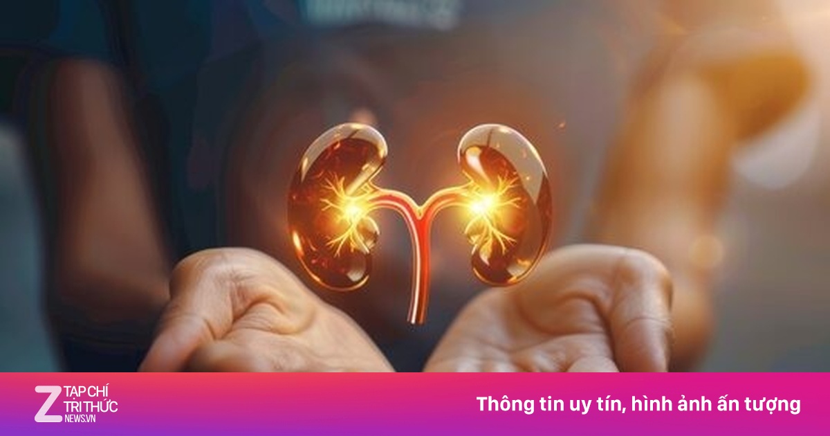 Ca ghép thận thành công đầu tiên trên thế giới