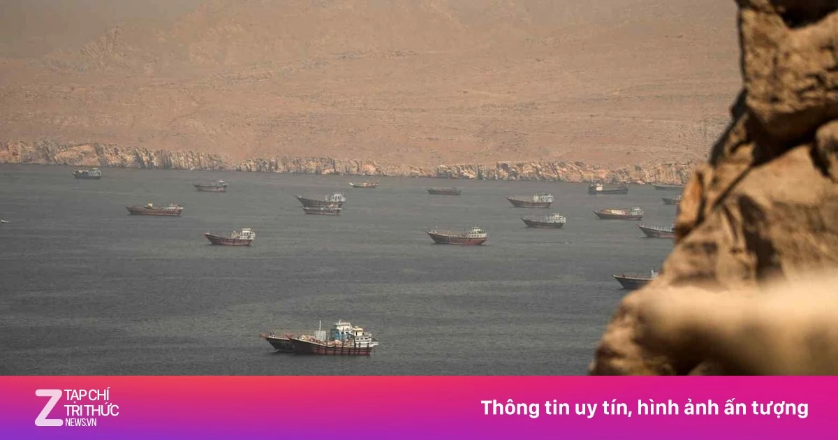 znews.vn