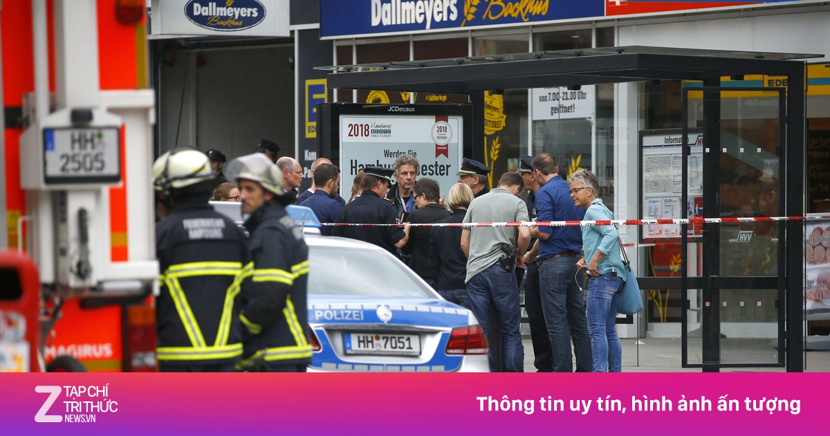 zingnews.vn