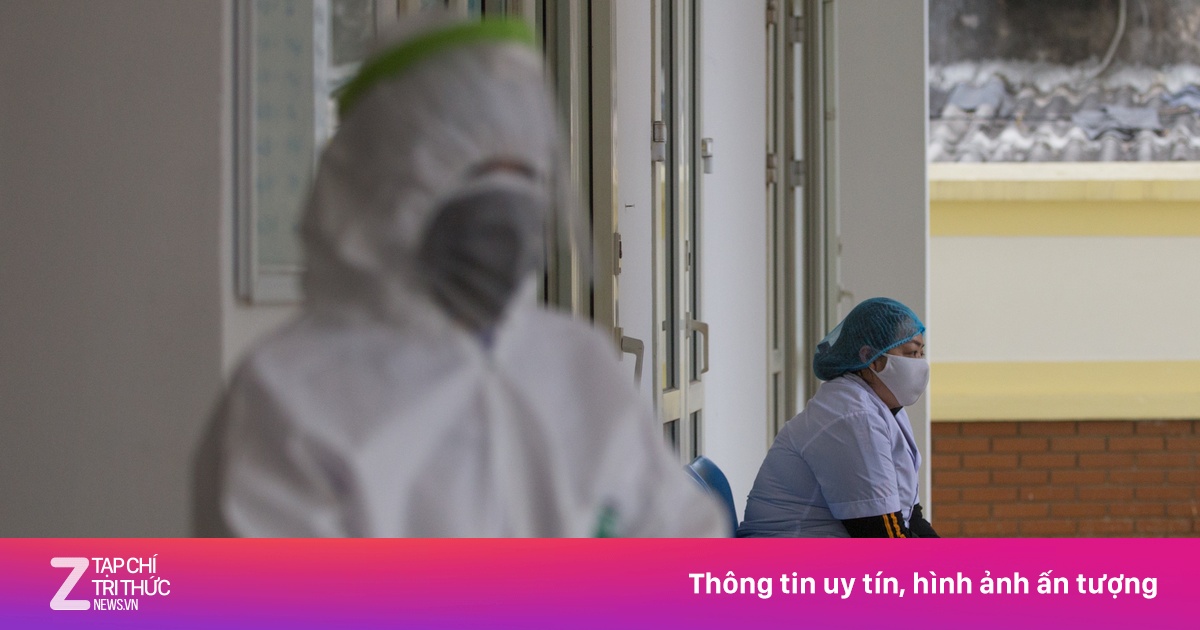 zingnews.vn