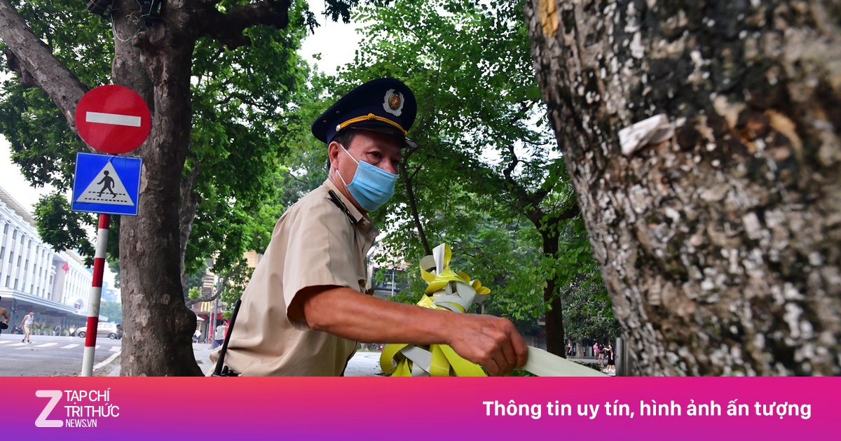 zingnews.vn
