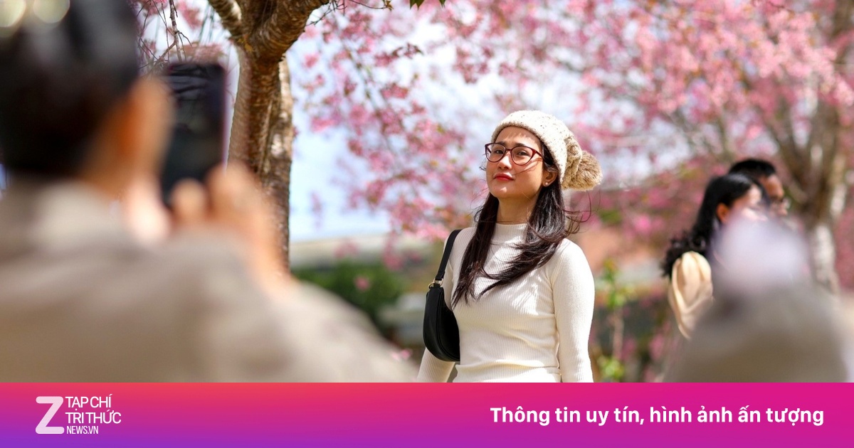 Đi Đà Lạt thế nào khi sân bay Liên Khương đóng cửa?