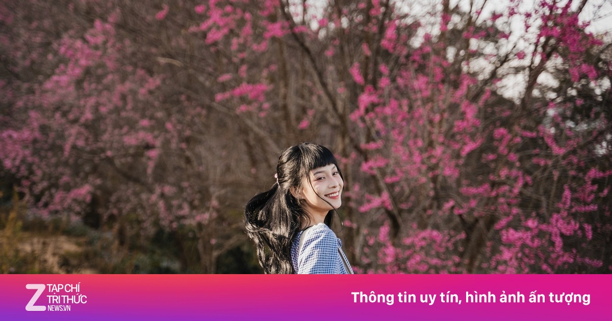 Giải pickleball kéo khách vượt kỳ vọng cho Măng Đen dịp Tết Dương lịch