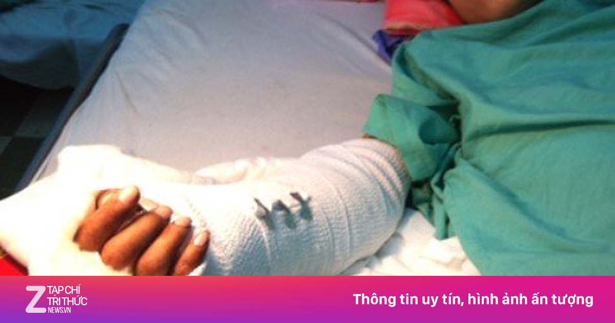 zingnews.vn