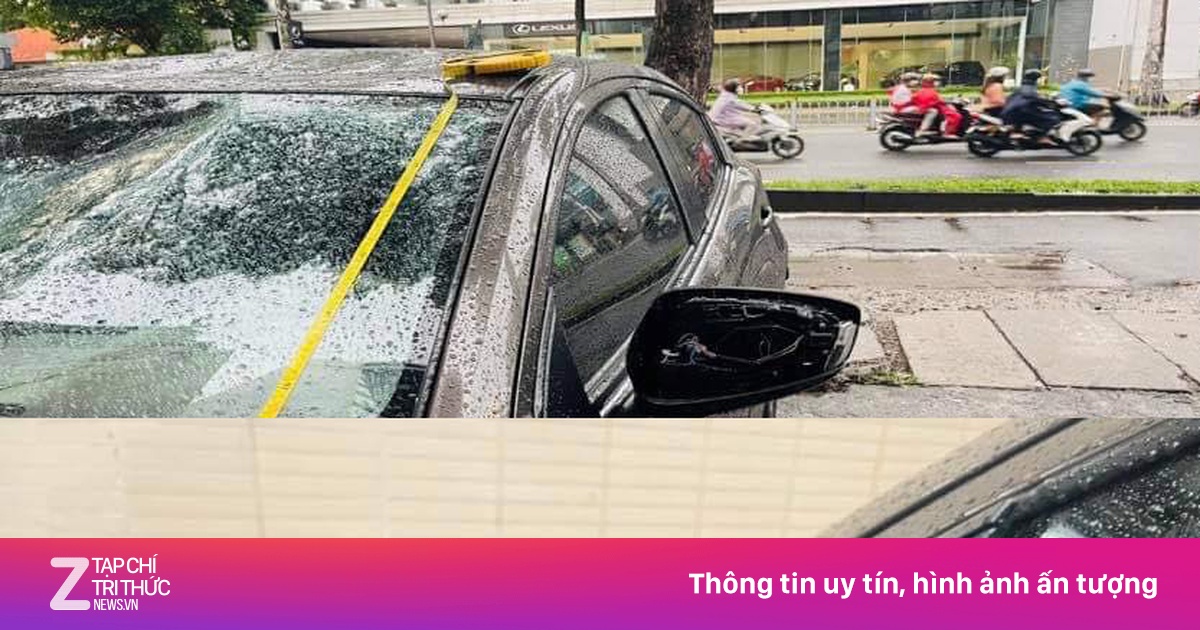 zingnews.vn