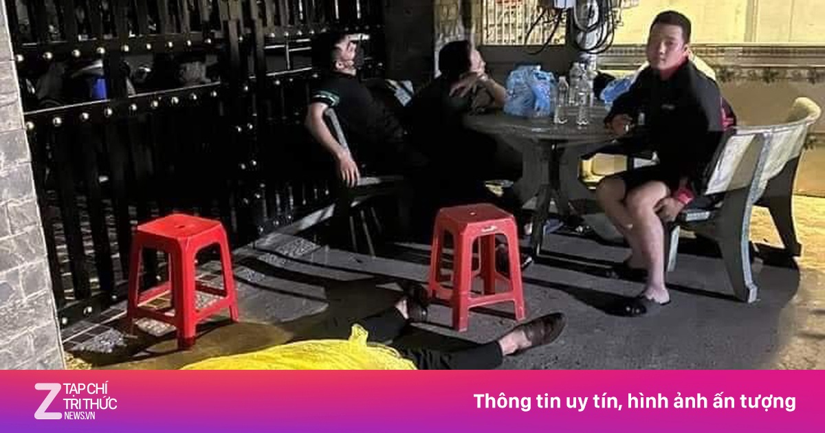 zingnews.vn