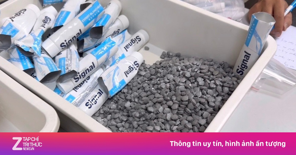 zingnews.vn