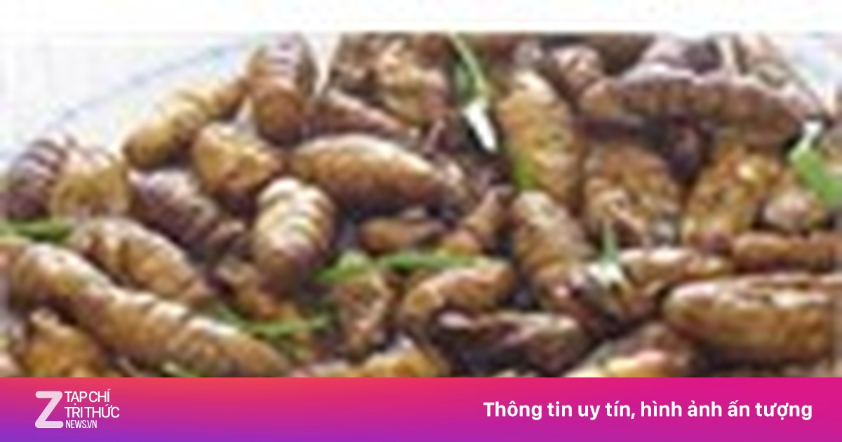 Trụy tim mạch vì ăn nhộng tằm - ZNEWS.VN