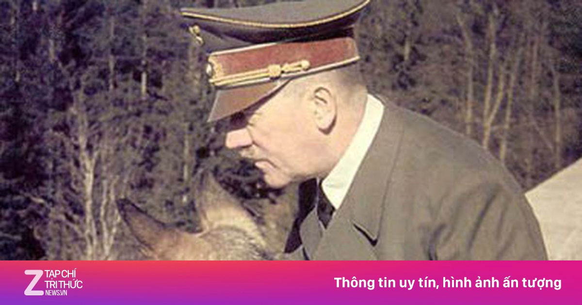 Hé lộ đội quân chó biết nói của Hitler - Thế giới - ZNEWS.VN