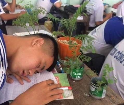 cach hoc sinh tranh nang anh 3