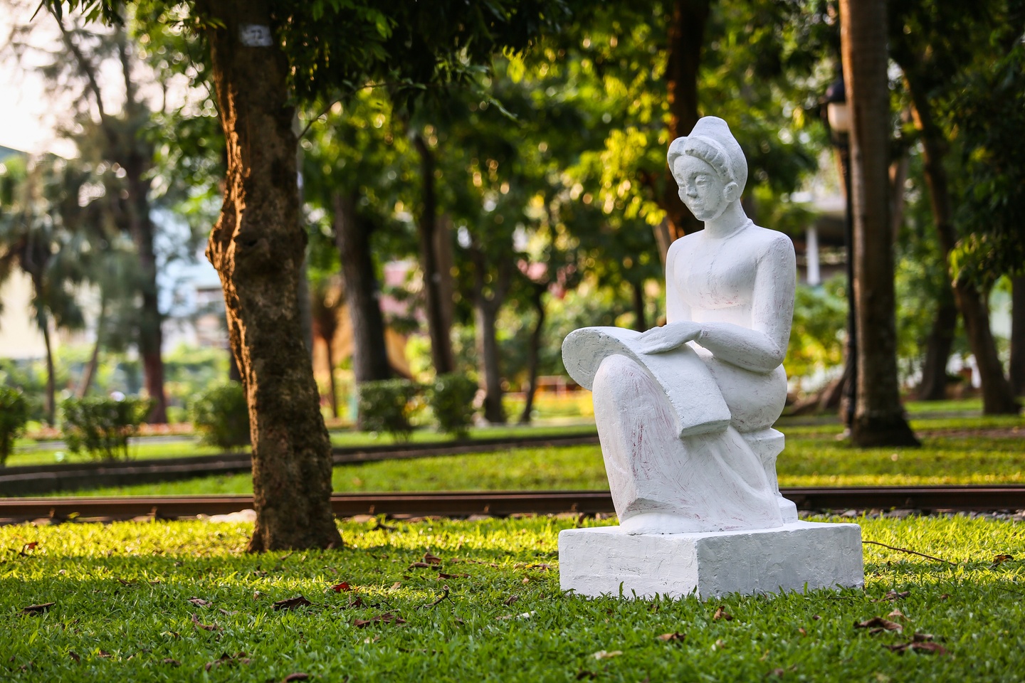 Tuong tai Cong vien Thong Nhat anh 7