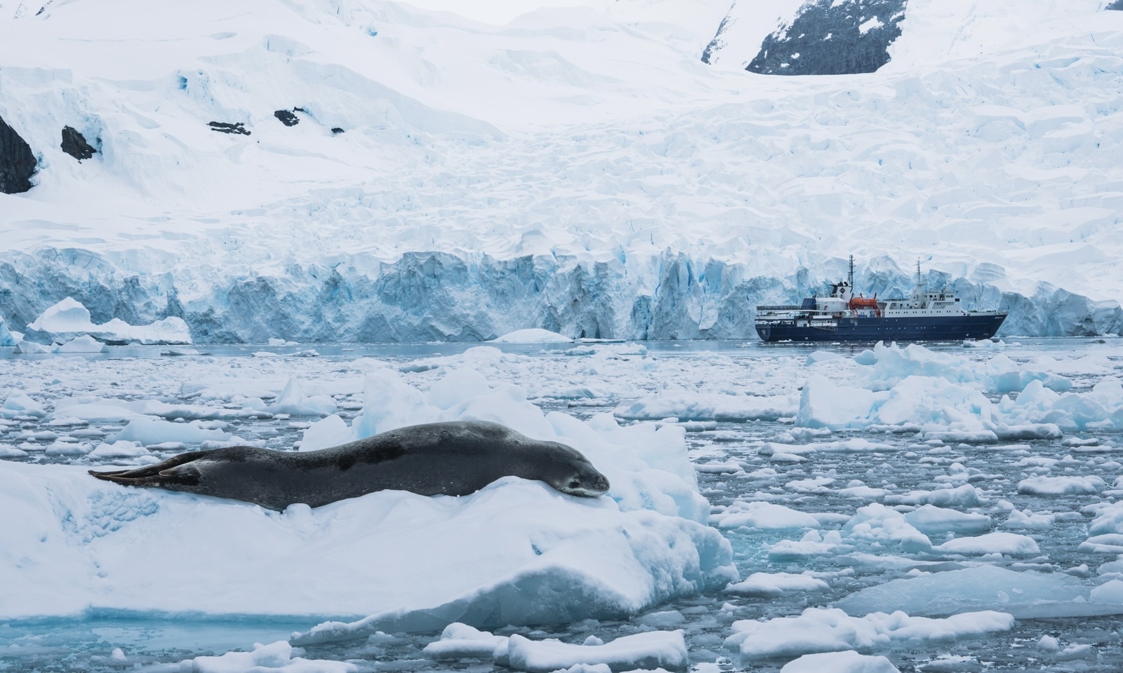 du lich nam cuc anh 2