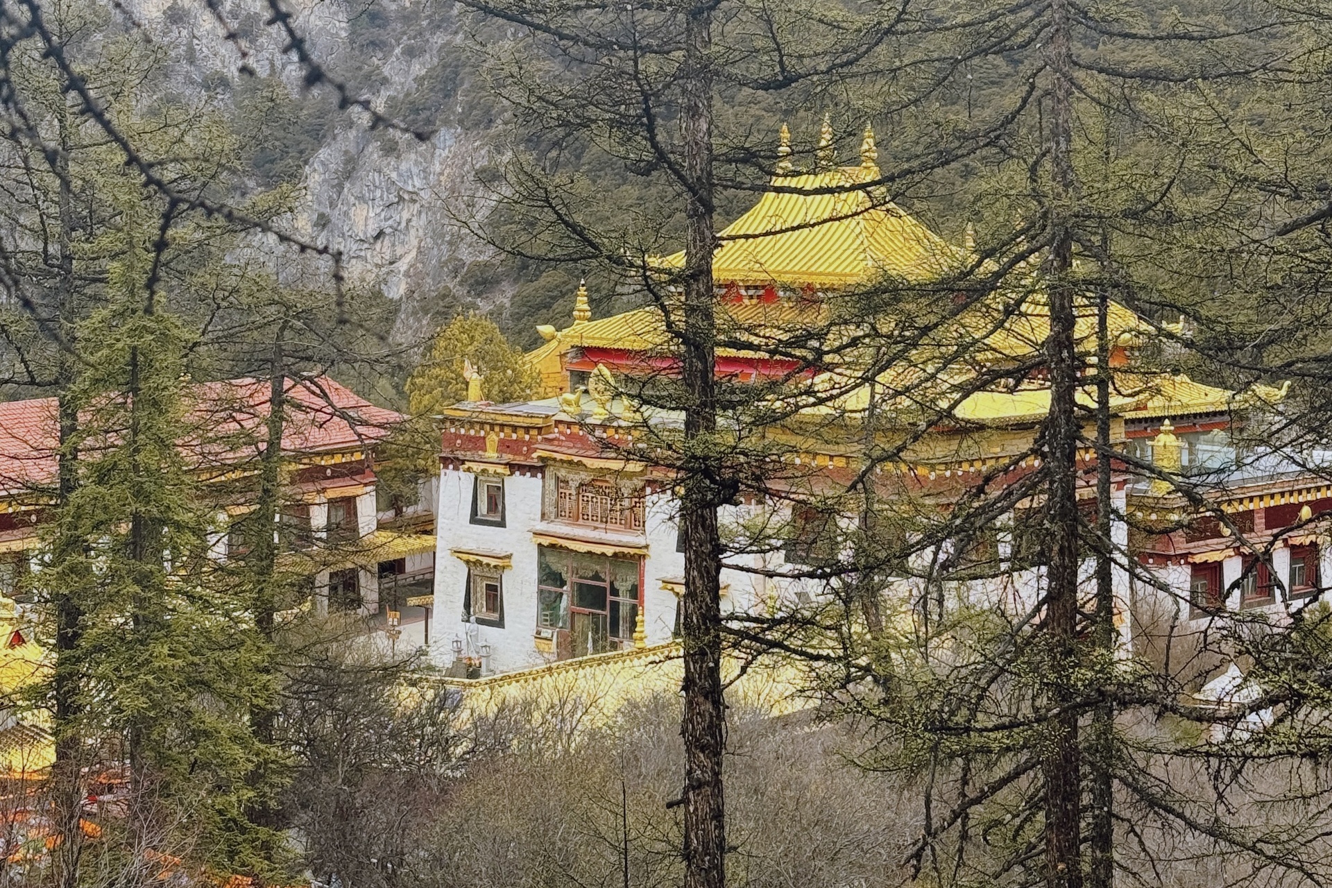 Dao Thanh A Dinh anh 14