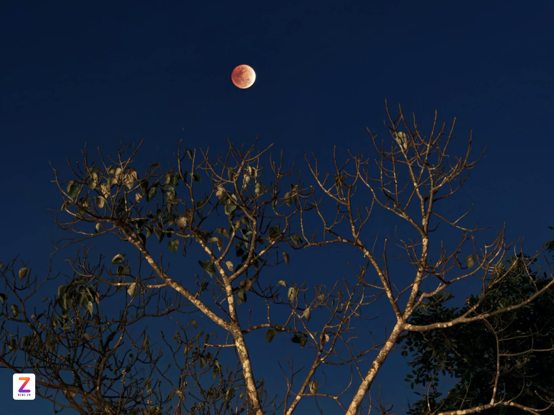 trăng máu ảnh 5 trang mau anh 5