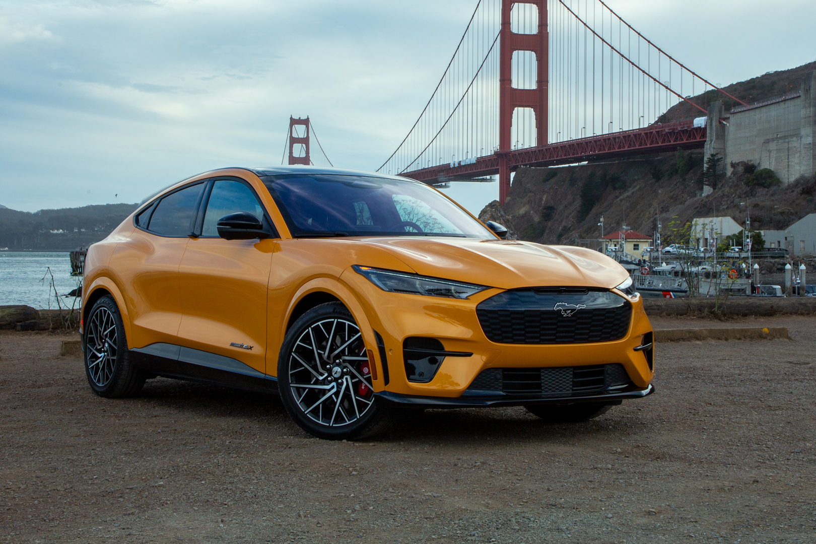 xe dien, ev,  xe xang,  xe hybrid,  hybrid,  ford,  mustang,  mustang mach-e,  f-150,  f-150 lightning,  doanh so,  tut doc,  uu dai thue,  tro cap,  trump,  donald trump anh 1