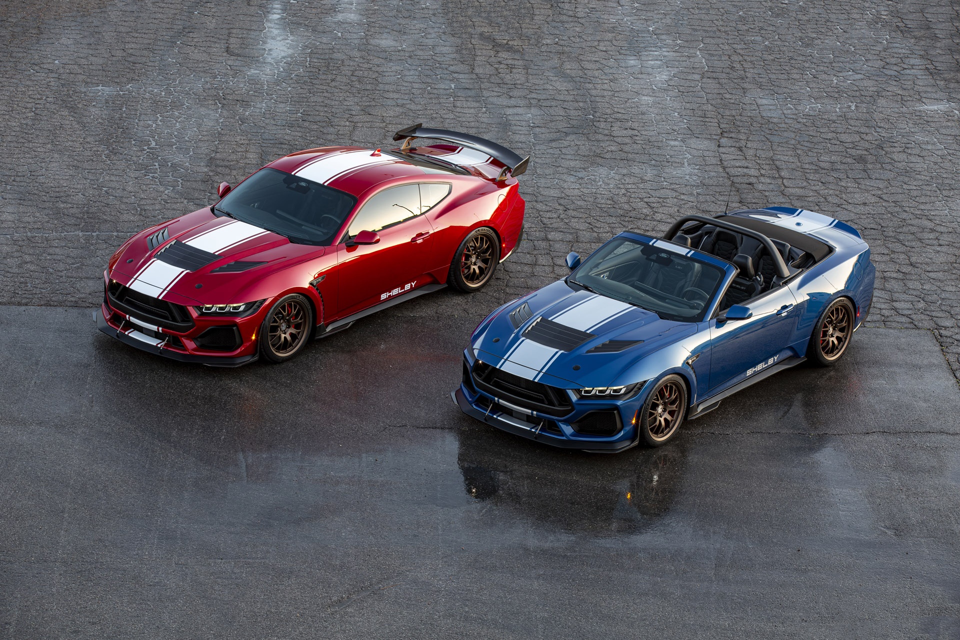 ford, mustang, shelby, super snake, shelby super snake, xe co bap, shelby american anh 3