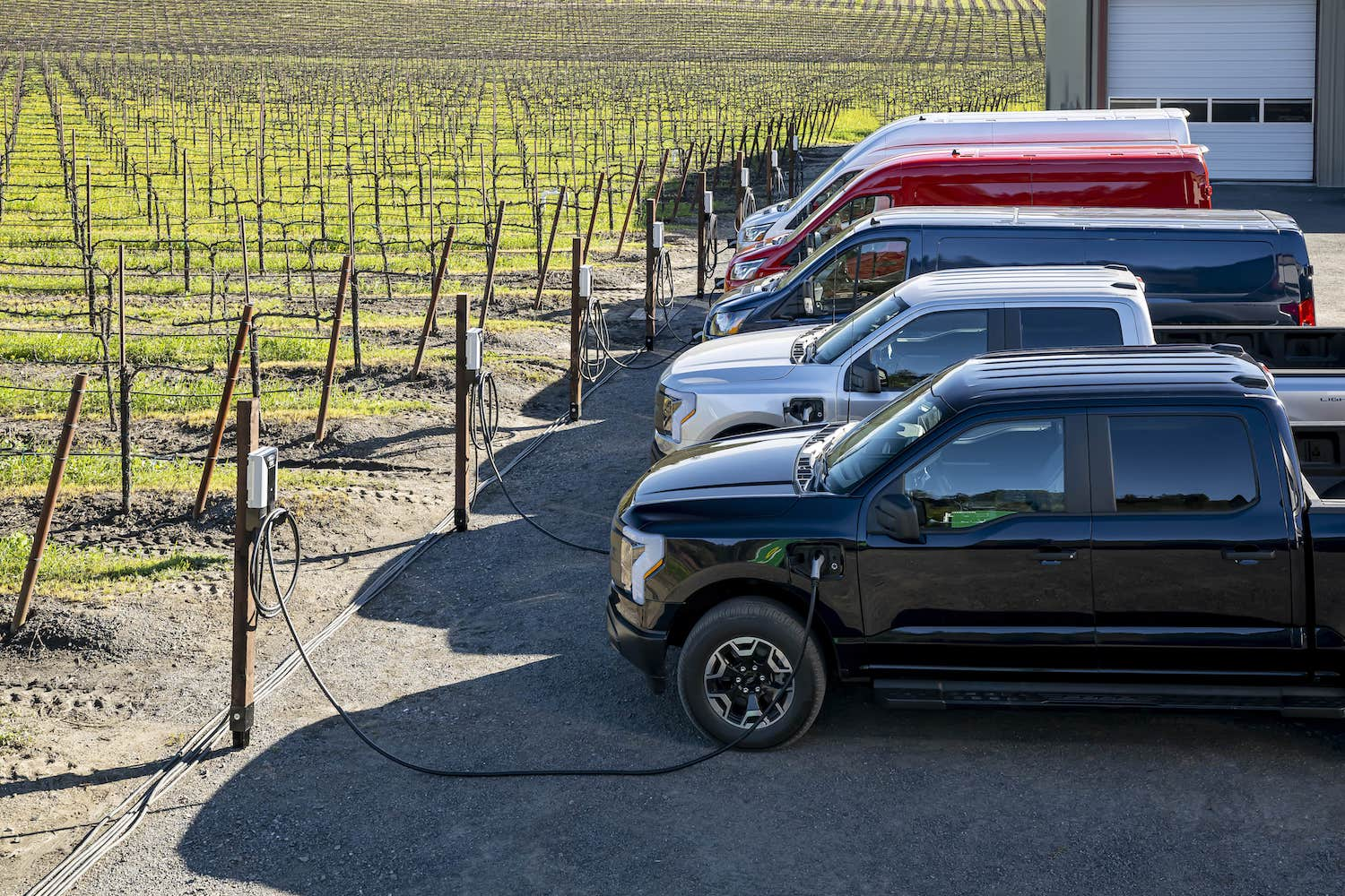 ford,  xe dien,  hybrid,  ev,  erev,  f-150 lightning anh 1