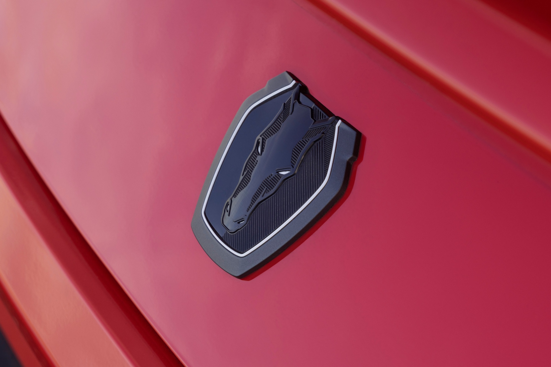 ford,  ford mustang,  mustang sc,  ford mustang sc,  mustang gtd,  my,  mustang gt anh 13