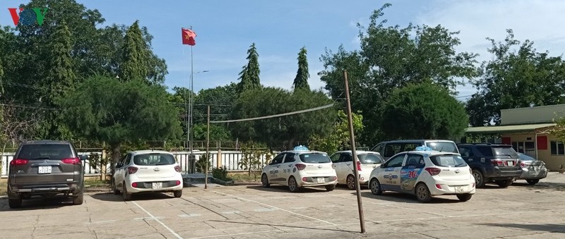 pha soi bac giua rung anh 1