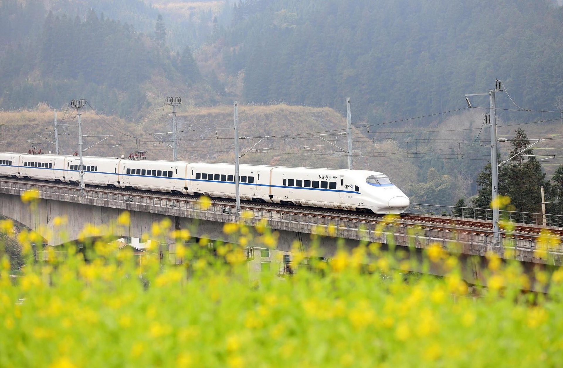 Bài toán kinh doanh của các tuyến đường sắt tốc độ cao