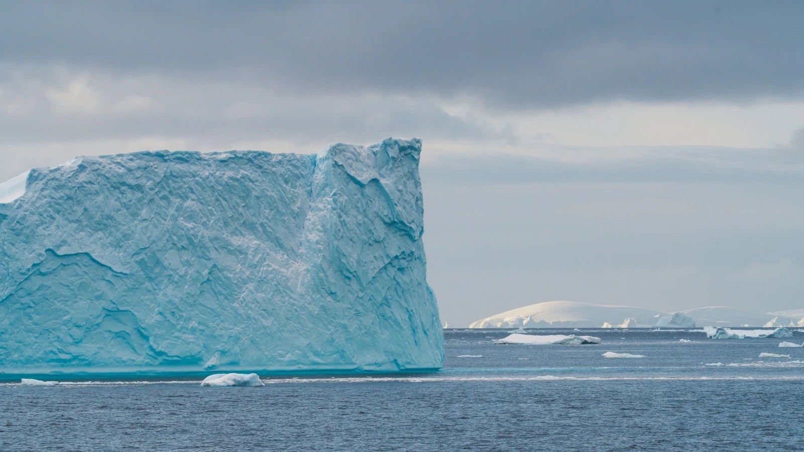 du lich nam cuc anh 1