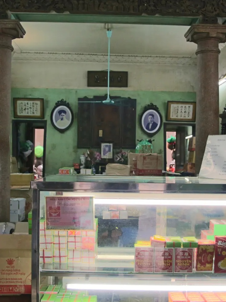 Nguyen Ninh anh 2