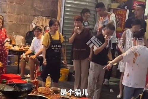 meo roi vao noi lau anh 1